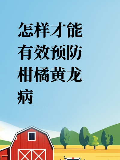 �����Ż�����Ԥ�����ٻ�����