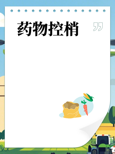 ҩ