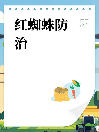 ֩