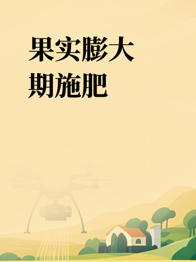 ʵʩ