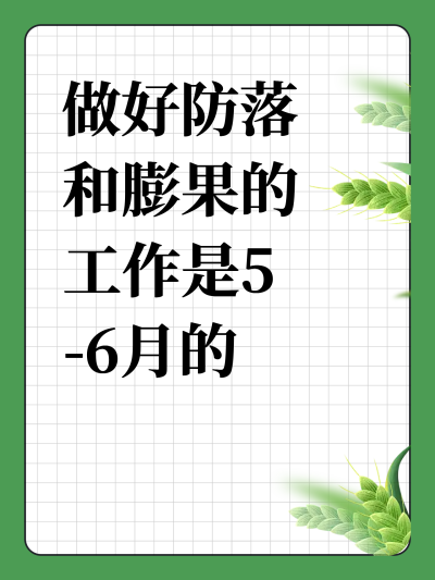 ÷5-6µ֮
