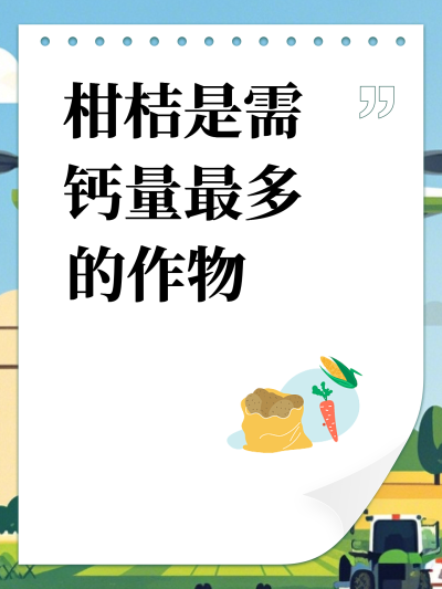 ̽
