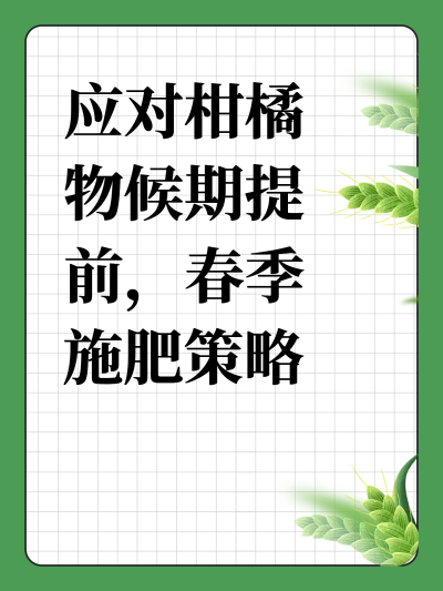 ӦԸǰʩսע