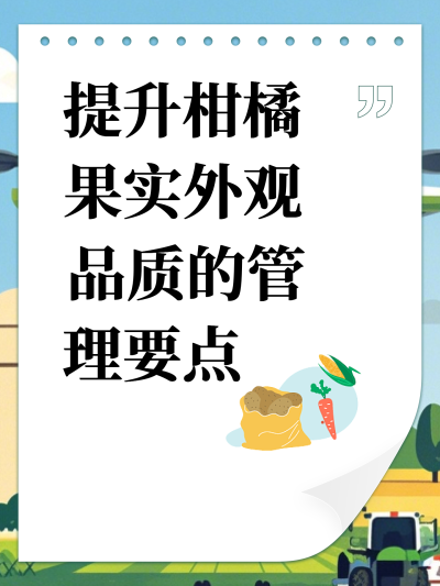 ٹʵƷʵĹҪ