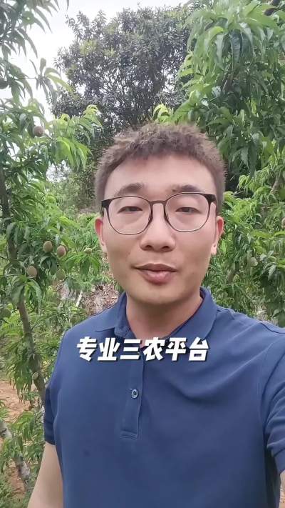 �ڲ�888�������ŵ���٭�������˺ã�