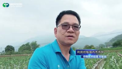 ��ͷ�߲���������
����&ldquo;�֋Z&rdquo;������