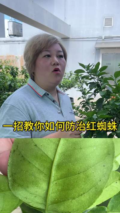 һнηκ֩