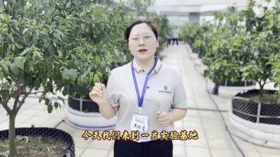 ٺ֩ҩ3黹ȥȫ군֩