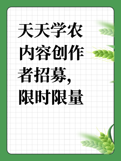 ŵ88վݴļʱ