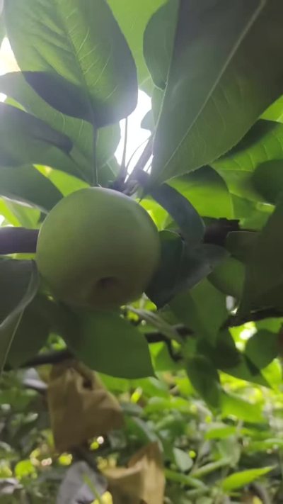 º