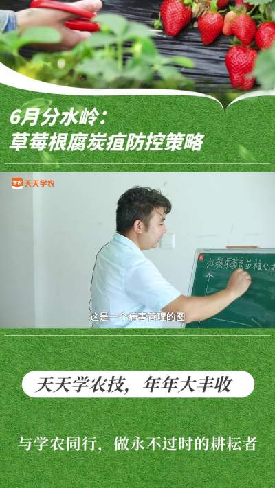 6·ˮ룺ݮ̿ҷս