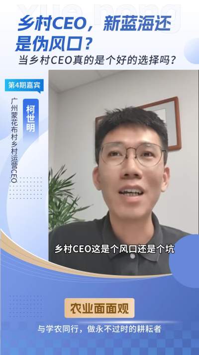 CEOվα