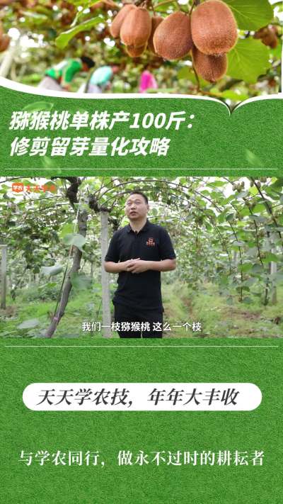 ⨺ҵ 100 ޼ѿ