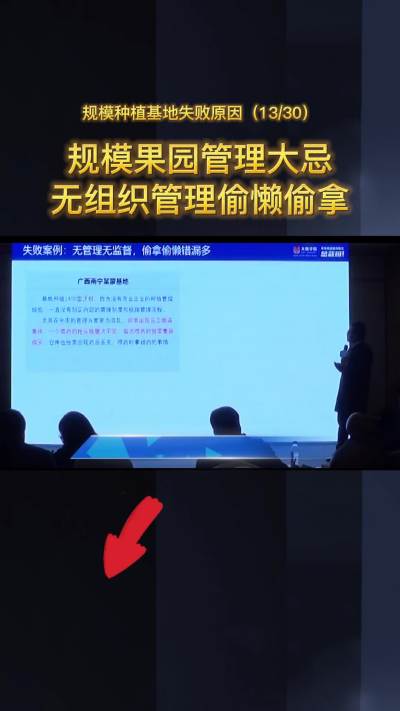 果园管理混乱，偷盗事件常有发生。