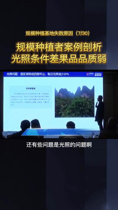 果园选址不看光照时间，前期多省钱，后期多不挣钱