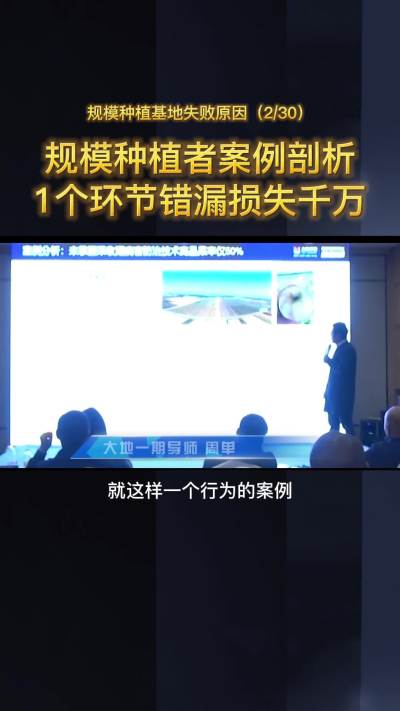 大丰收周单：不要忽视每斤1分钱的差距，对大基地而言损失巨大