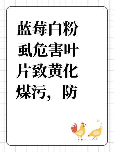 蓝莓白粉虱危害叶片致黄化煤污，防用黄板诱杀结合药剂及天敌治理