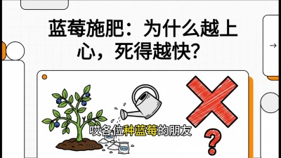 ��5�ڣ�ʩ�ʵĽ���&mdash;&mdash;��ݮ��&ldquo;�Ӹ�����&rdquo;ֲ�����γ̣�����ݮ&ldquo;�߲�&rdquo;ʵս�Σ���ѡ�絽���յ�10��Ҫ���㡷