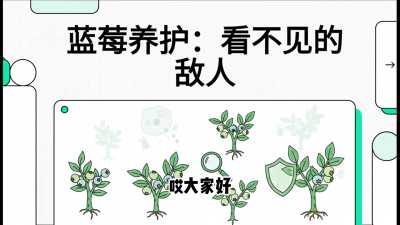 第8节：看不见的敌人&mdash;&mdash;缺铁黄叶与病虫害防治，课程：《蓝莓&ldquo;高产&rdquo;实战课：从选苗到丰收的10个关键点》