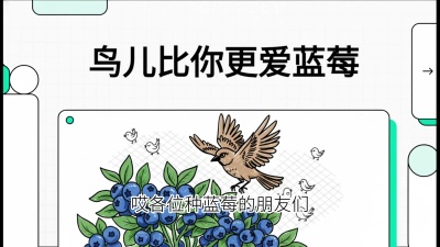 第9节：鸟儿比你更爱蓝莓&mdash;&mdash;防鸟网的重要性，课程：《蓝莓&ldquo;高产&rdquo;实战课：从选苗到丰收的10个关键点》