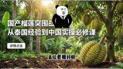 �ڶ��ڣ���������ͻΧ��ݪֲ����Ʒ��ѡ��ָ�ϣ��������ף��ڴ�èɽ���ĸ�Σ����߻ر����γ̣�����������ͻΧս����̩���������й�ʵ�ٵ�8�ñ��޿Σ��߽�ʵս�棩��