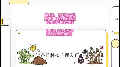 第3节（营养篇）： 粪肥是宝还是毒？&mdash;&mdash;有机肥的避坑指南与正确发酵法，课程：《揭秘土壤的秘密：让土地帮你赚钱》#识农AI