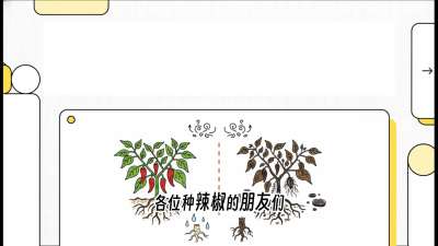 ��3�ڣ�����ϵ�˶������ܾ�&ldquo;ͷ�ؽ���&rdquo;������ʽ������������������շ������γ̣�������ݪֲʵս��ѵӪ���ӹ�ҵ��������ƷС����������������&ldquo;��&rdquo;�ֳ�&ldquo;��&rdquo;��