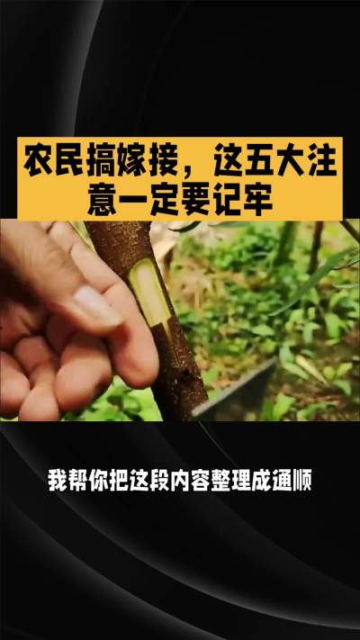 �ŵ�88��(�й���)�ٷ���վ