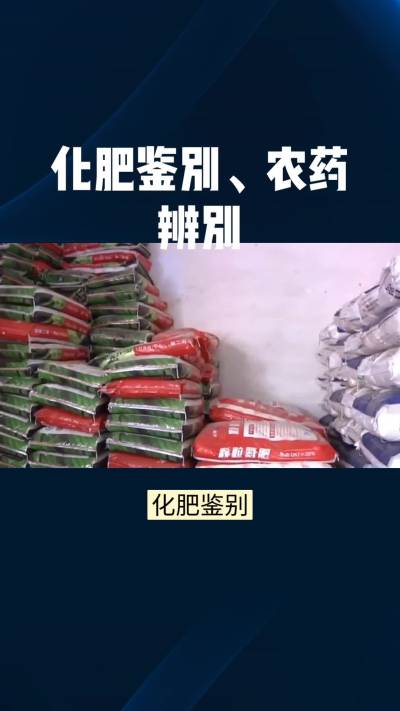 �ŵ�88��(�й���)�ٷ���վ