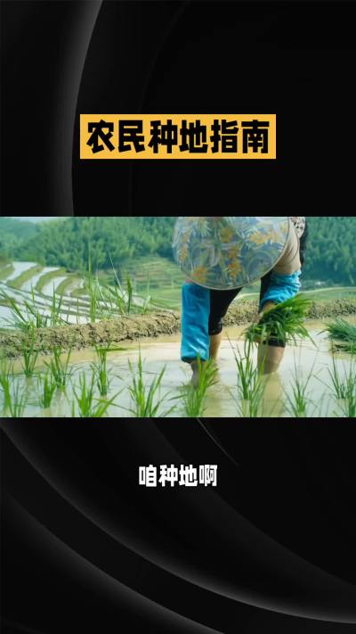 �ŵ�88��(�й���)�ٷ���վ