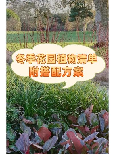 ԰ح԰ֲ嵥䷽||[R]θ԰ļע춬ʻ԰԰Ƶһƽٵ[R]ѧũ˽ֲܶ嵥Լ䷽ͼ?󻬲