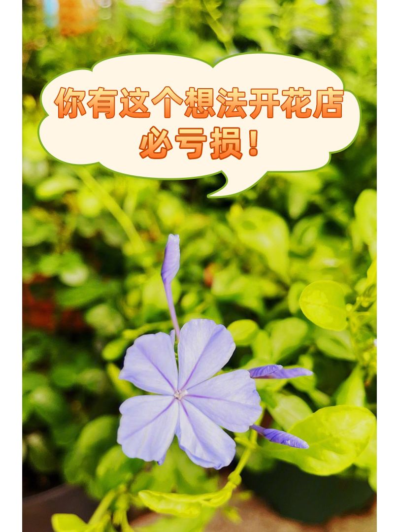 https://static.ixuenong.com/pxn/uploads/prod/thirdfile/2024/11/0be9b4496bd1de05980a2d7973dd94f0.jpg