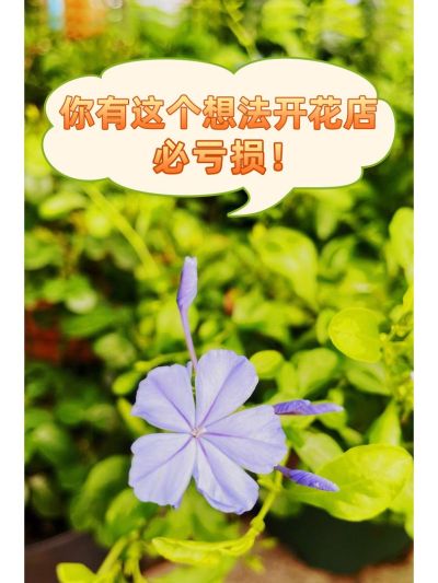뷨Żؿ??
[ӲR]໨Ŀܽ󲿷Եԭڴҵһȵ뷨Ͳ
.
?Żꣽ
˶Ż“¾”[R]