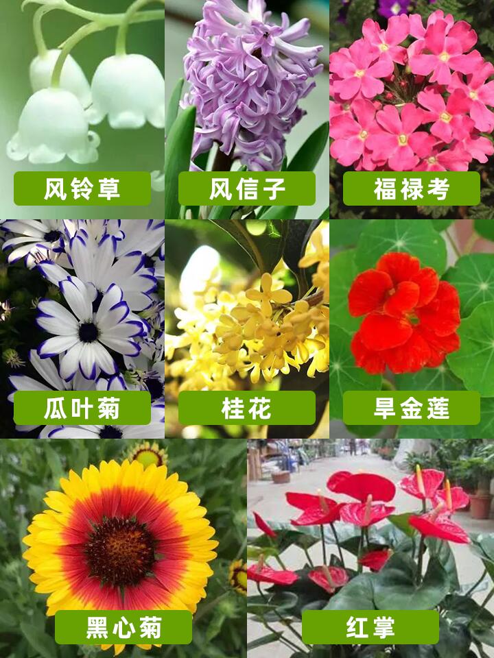https://static.ixuenong.com/pxn/uploads/prod/thirdfile/2024/11/0c8afd42f3a560212ee95364b04c4324.jpg