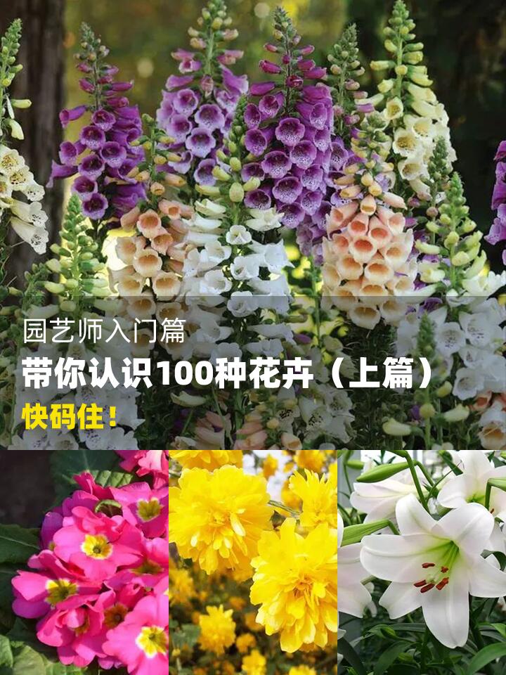 https://static.ixuenong.com/pxn/uploads/prod/thirdfile/2024/11/10230a96a3c8a5788c591d336367b16b.jpg