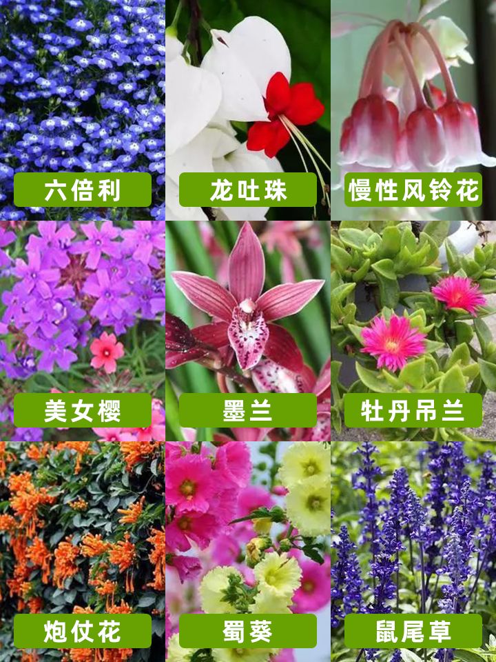 https://static.ixuenong.com/pxn/uploads/prod/thirdfile/2024/11/228d9ba3c9e1bdec6dc2389930cc67f6.jpg