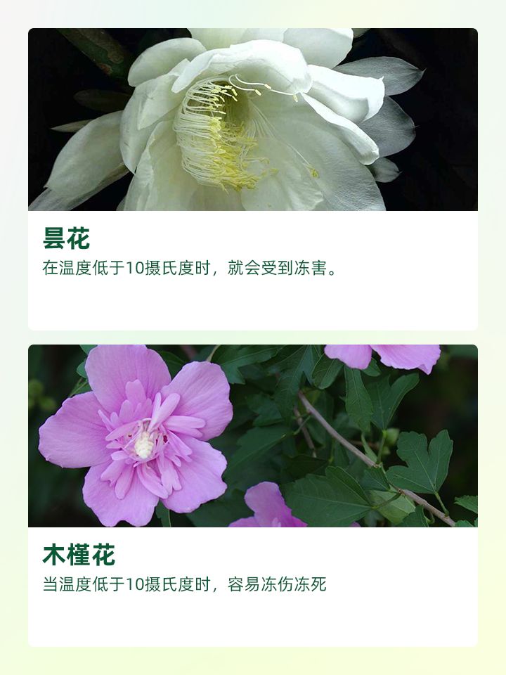 https://static.ixuenong.com/pxn/uploads/prod/thirdfile/2024/11/26d820e52d4a6632d470b4eef574b421.jpg