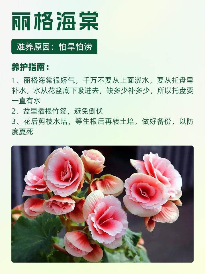 https://static.ixuenong.com/pxn/uploads/prod/thirdfile/2024/11/2c487e322564bb524faa02cce7401054.jpg