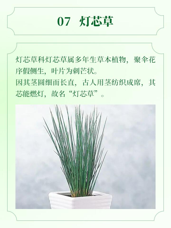 https://static.ixuenong.com/pxn/uploads/prod/thirdfile/2024/11/39d89d783db0de6b2c997560f09ca135.jpg
