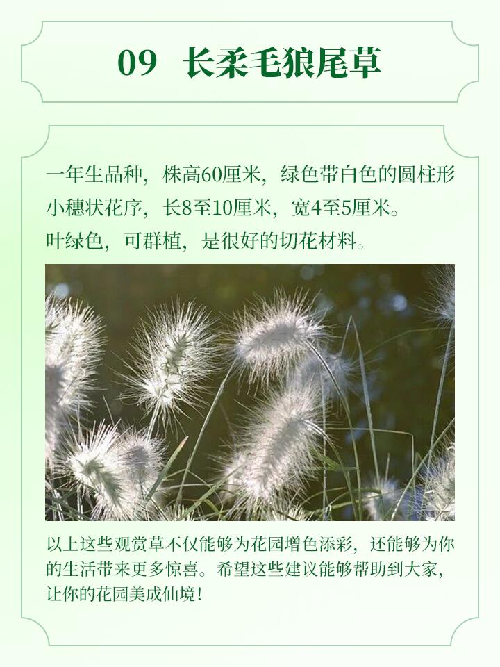 https://static.ixuenong.com/pxn/uploads/prod/thirdfile/2024/11/3d9dbd7793c6651dfb3a6b5f4aac9409.jpg