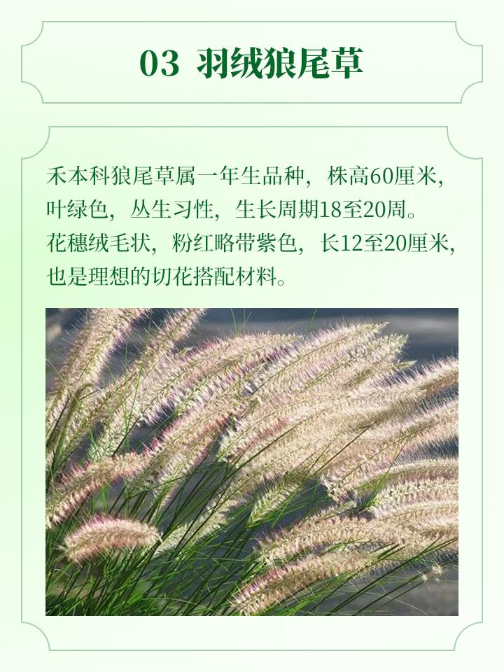 https://static.ixuenong.com/pxn/uploads/prod/thirdfile/2024/11/3dca15fbd405fe34e24aa12a99bf5dd6.jpg