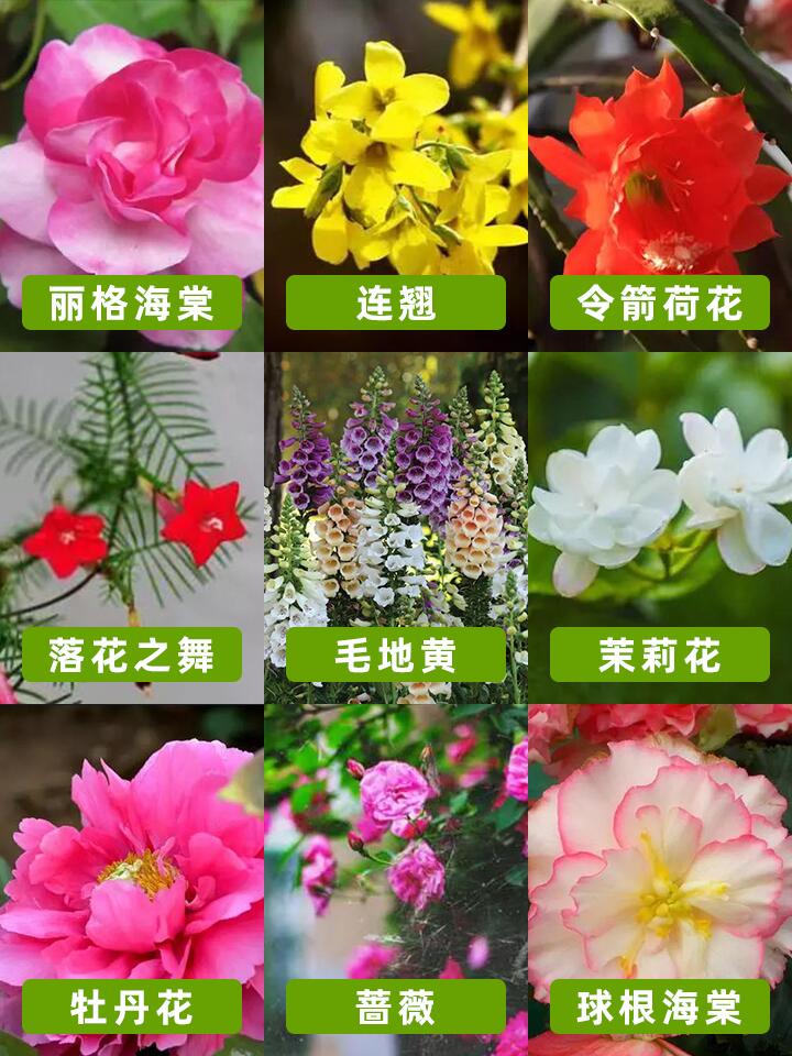 https://static.ixuenong.com/pxn/uploads/prod/thirdfile/2024/11/3f6b776dce3a75ed99a7648885fa2290.jpg