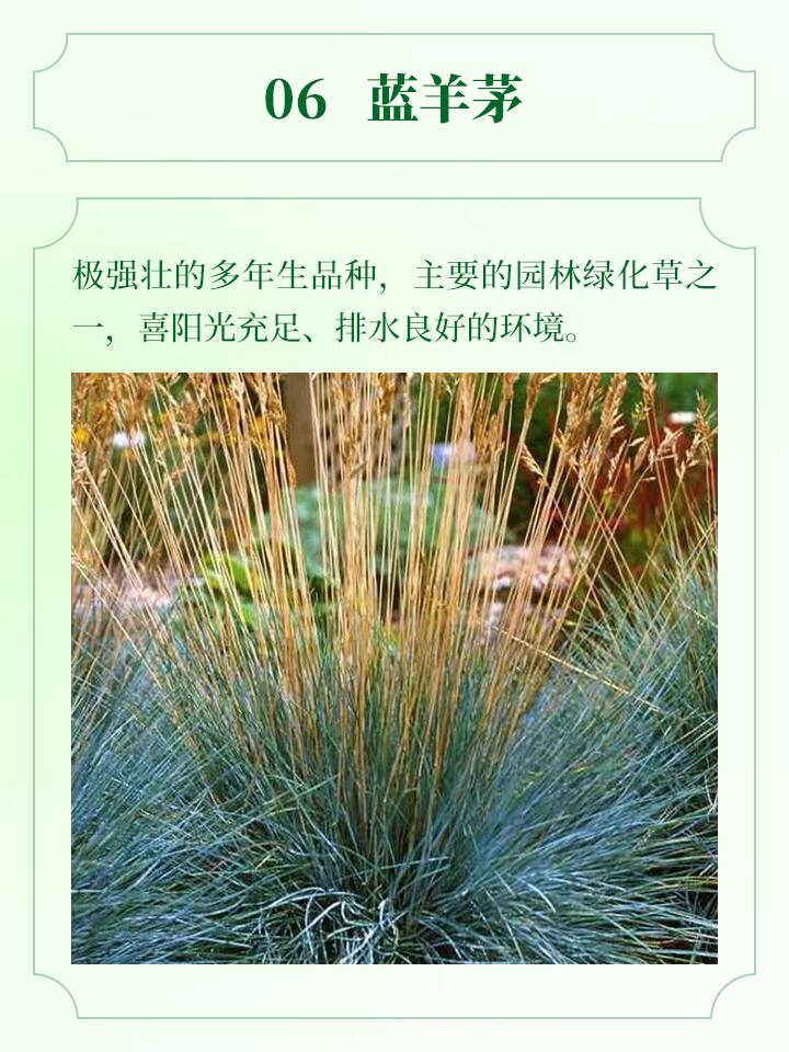 https://static.ixuenong.com/pxn/uploads/prod/thirdfile/2024/11/48c23314d53c57a7d2674959a9b730bc.jpg
