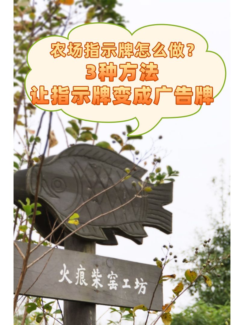 https://static.ixuenong.com/pxn/uploads/prod/thirdfile/2024/11/50c513c96d999e23e42bc562de47be9b.jpg