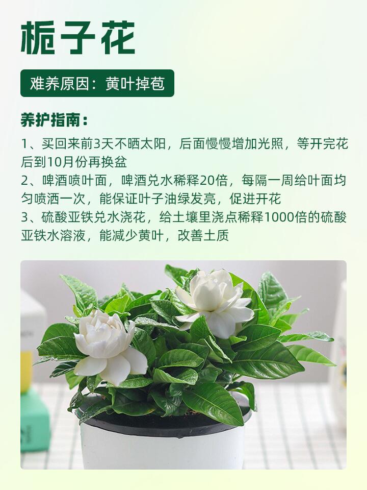 https://static.ixuenong.com/pxn/uploads/prod/thirdfile/2024/11/5d5efd74193f578f09e0bb11a74459e4.jpg