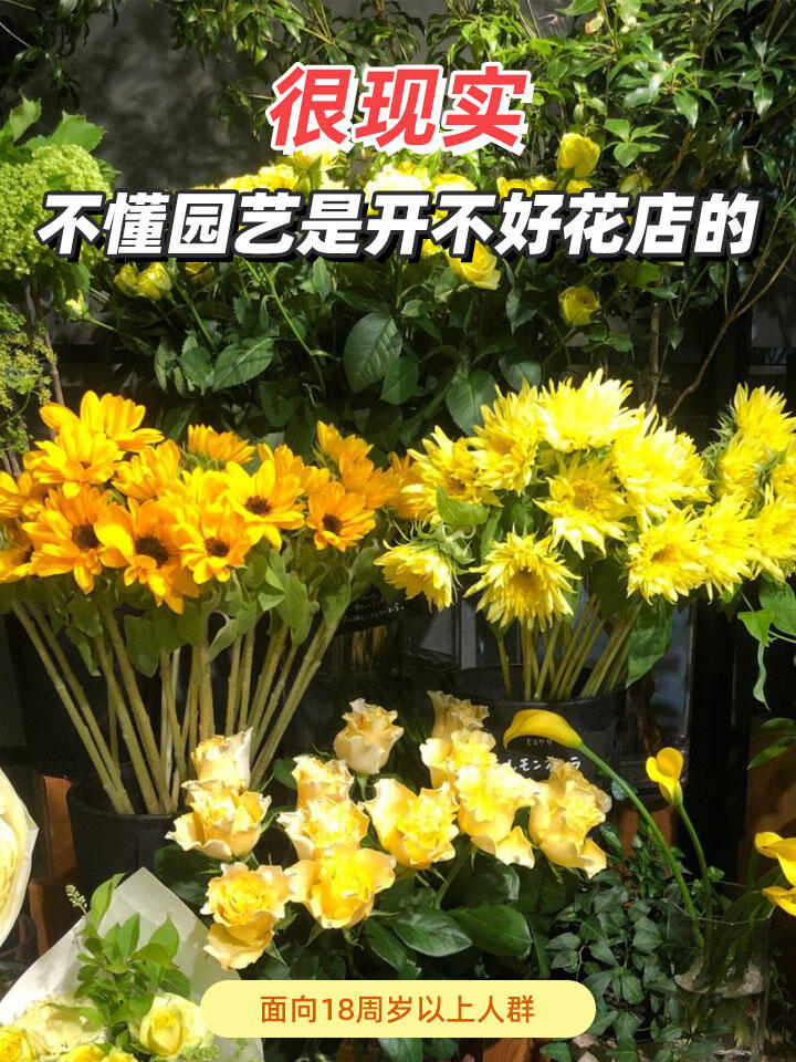 https://static.ixuenong.com/pxn/uploads/prod/thirdfile/2024/11/5d96bcd6905829cd7914ebbce2e39eb9.jpg