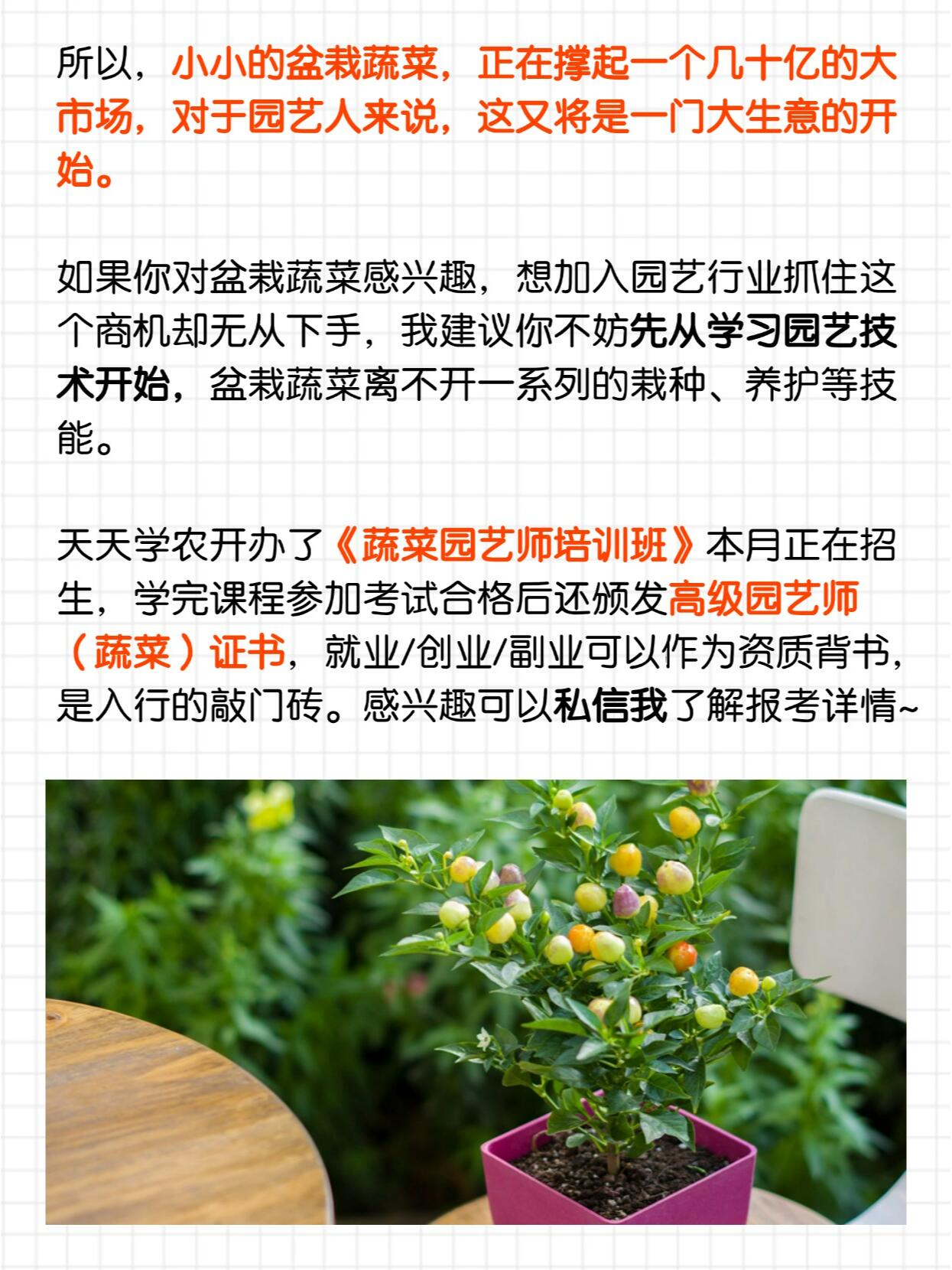 https://static.ixuenong.com/pxn/uploads/prod/thirdfile/2024/11/694645a08fcc4ecce52eea26ad74fb04.jpg
