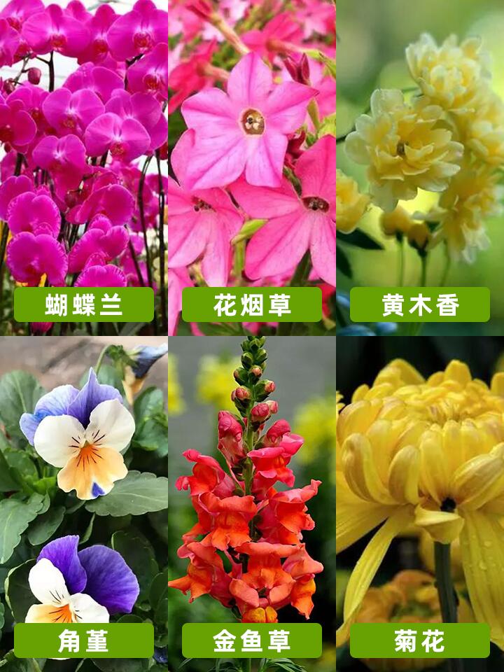 https://static.ixuenong.com/pxn/uploads/prod/thirdfile/2024/11/6dbfa1d0e8f27cebf814634dd0da9058.jpg