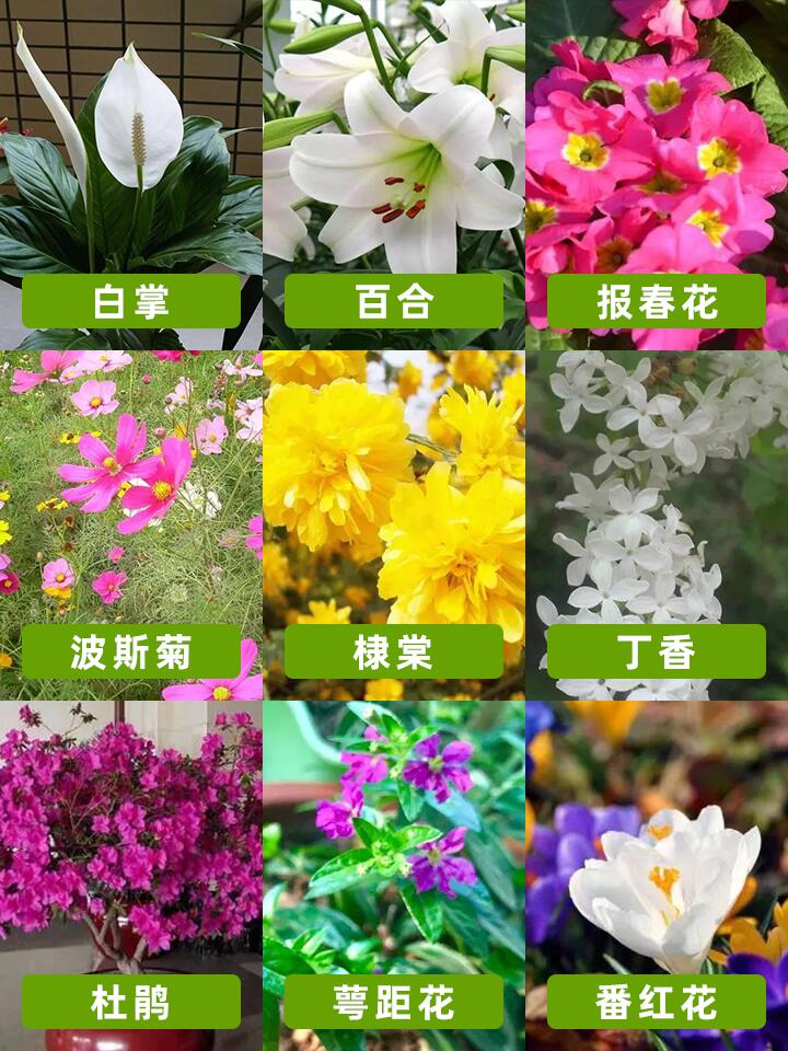 https://static.ixuenong.com/pxn/uploads/prod/thirdfile/2024/11/74d4aad7db4ae45c36435b0f257ceee1.jpg