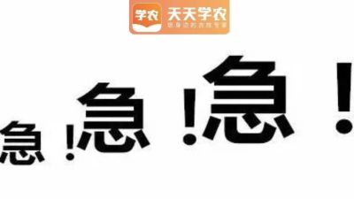 ۡ紵򡢲溦Ű……ٵıȹ